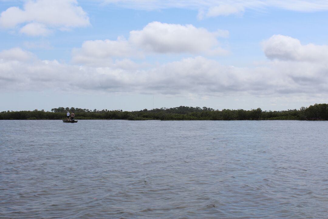 Water Adventures on the Gulf