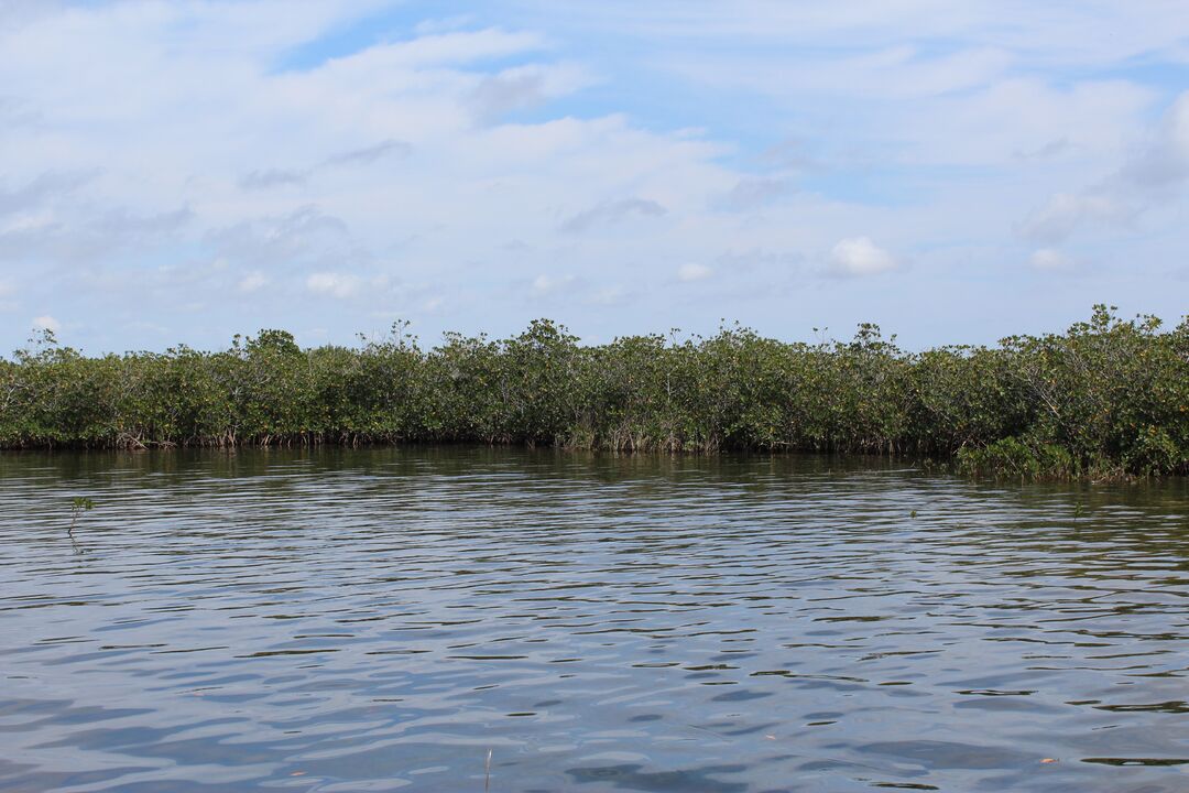 Water Adventures on the Gulf