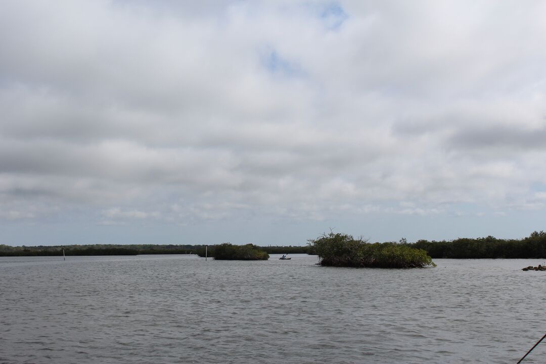 Water Adventures on the Gulf