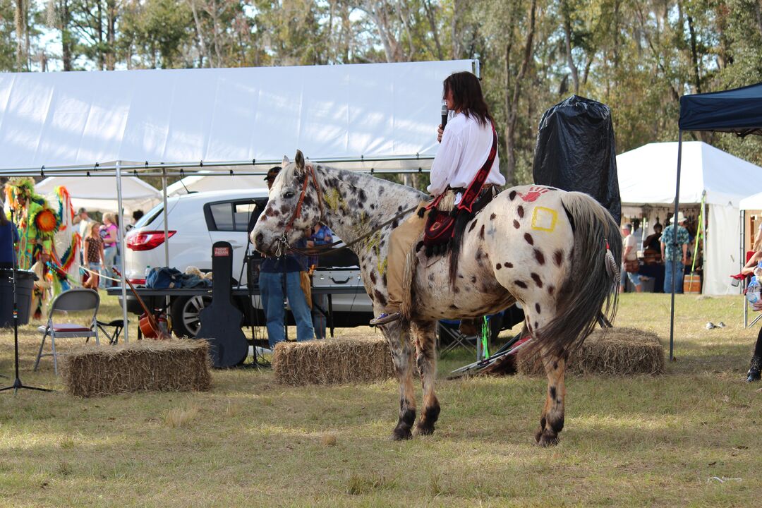 Brooksville Native American Festival