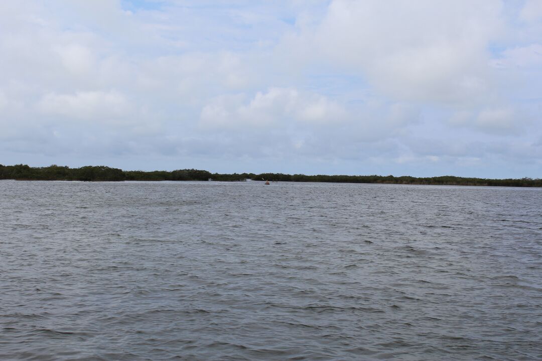 Water Adventures on the Gulf