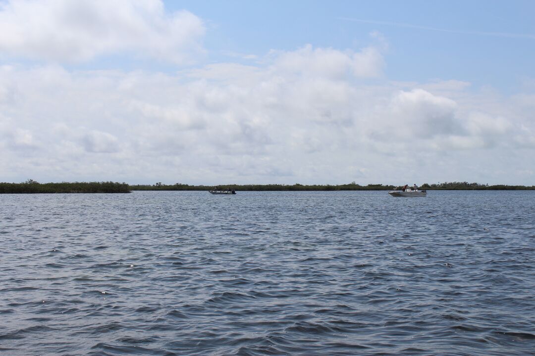 Water Adventures on the Gulf