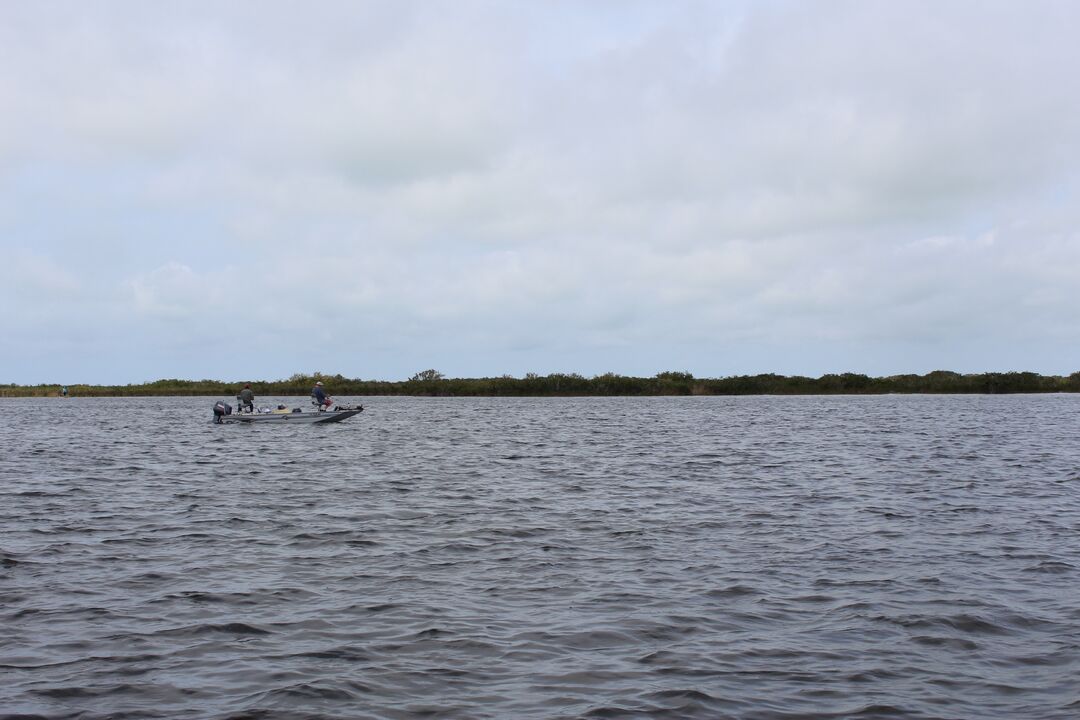 Water Adventures on the Gulf