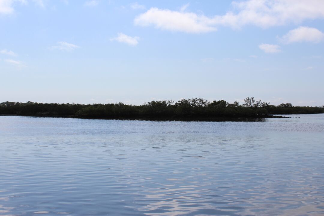 Water Adventures on the Gulf