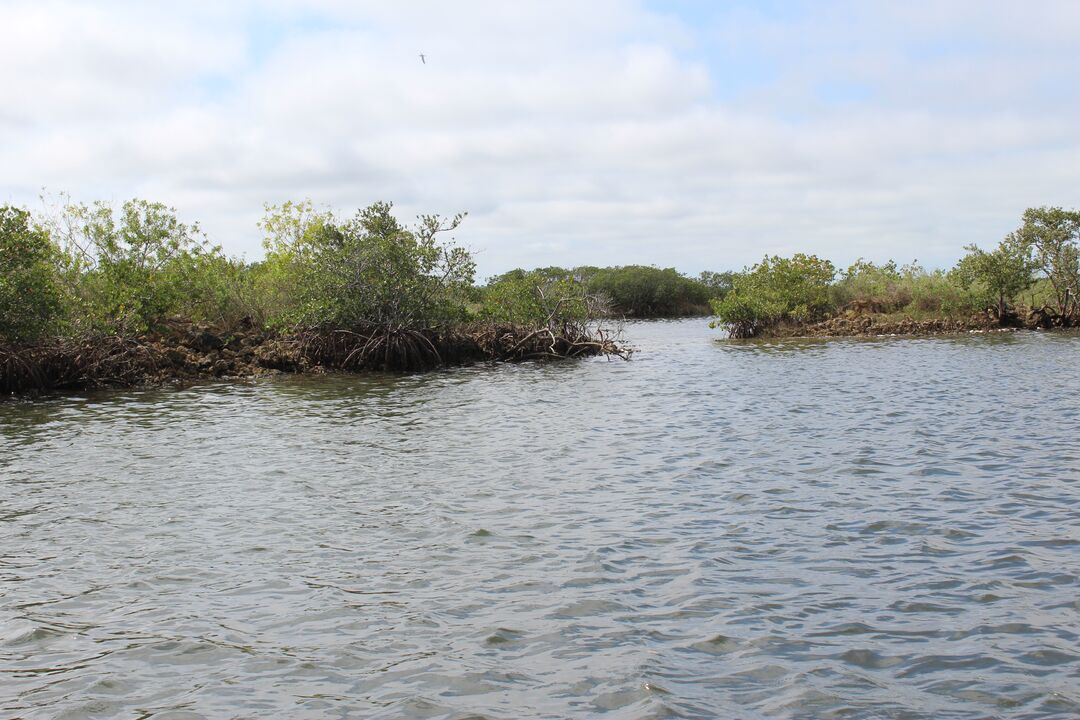 Water Adventures on the Gulf