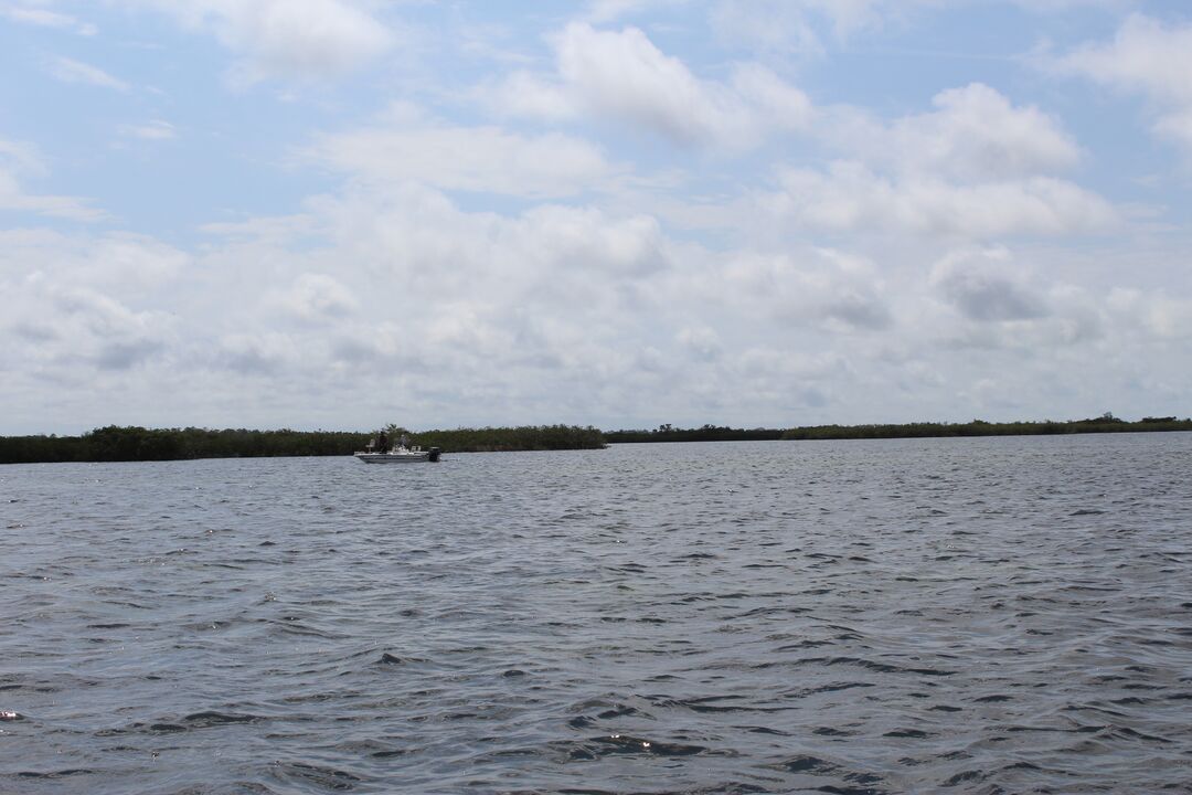 Water Adventures on the Gulf