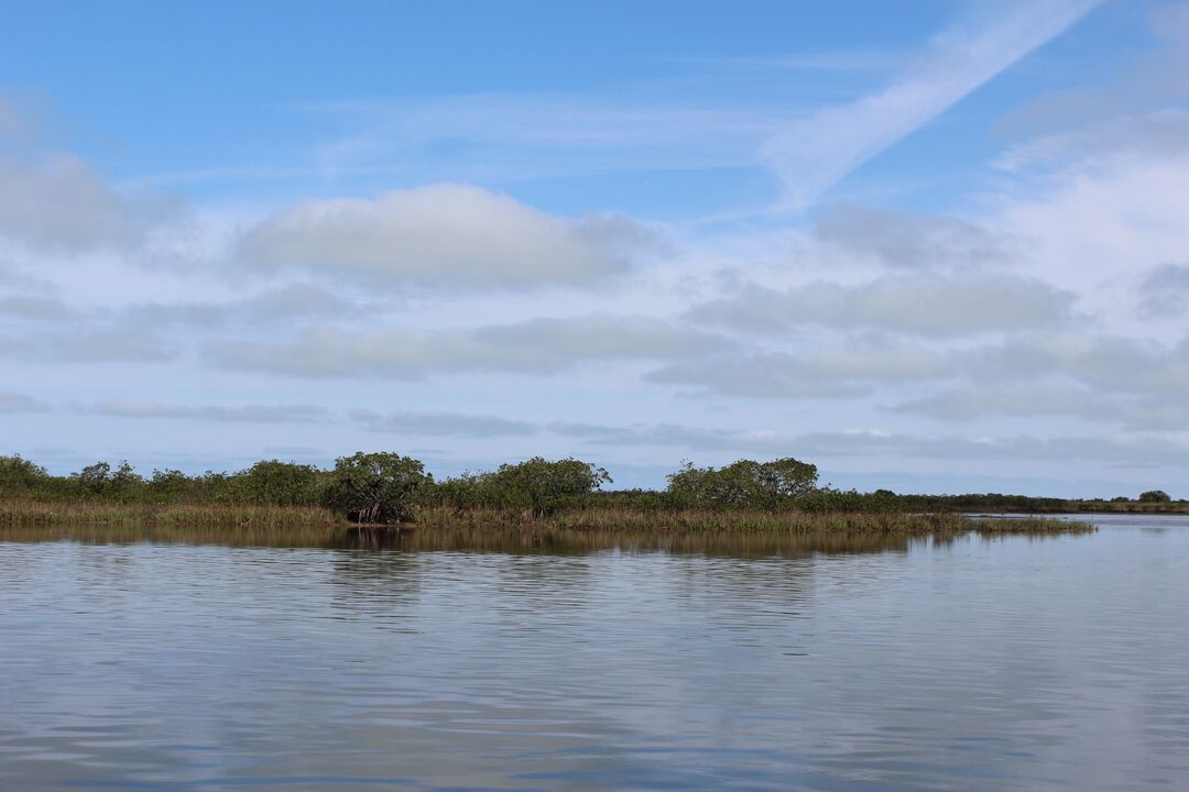 Water Adventures on the Gulf