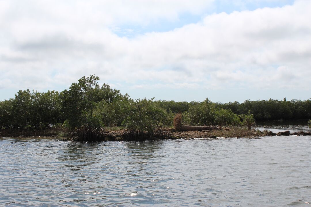 Water Adventures on the Gulf