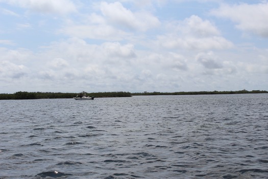 Water Adventures on the Gulf