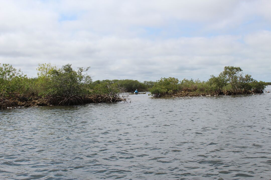 Water Adventures on the Gulf