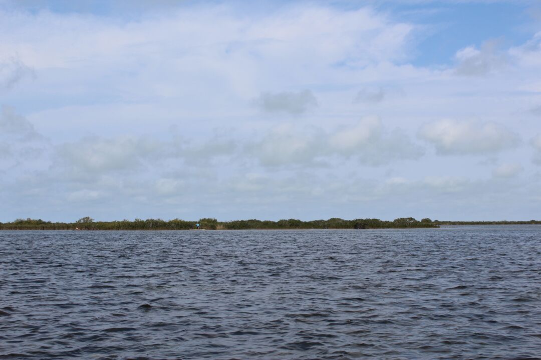 Water Adventures on the Gulf