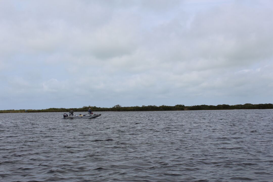 Water Adventures on the Gulf