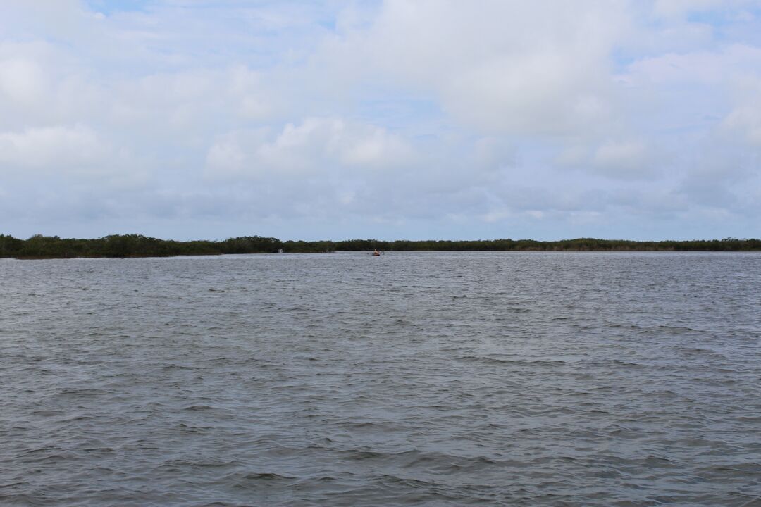 Water Adventures on the Gulf