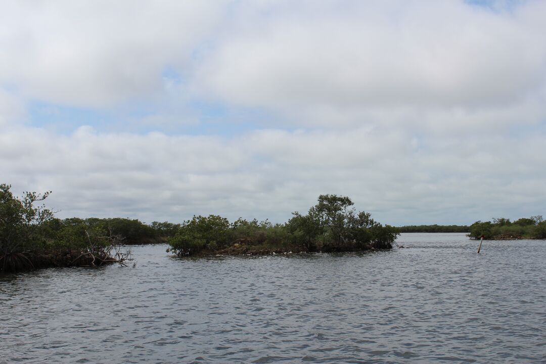 Water Adventures on the Gulf