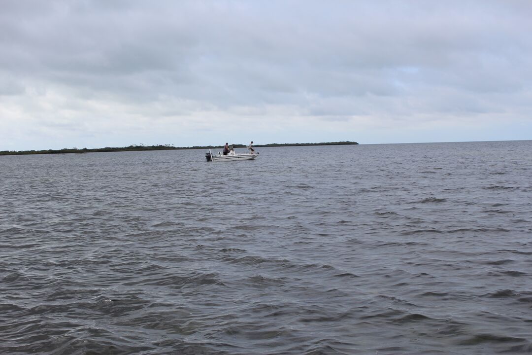 Water Adventures on the Gulf