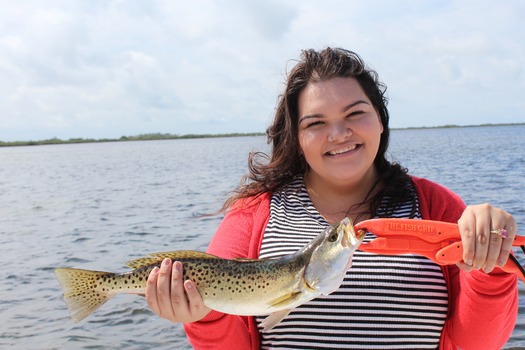 Water Adventures on the Gulf