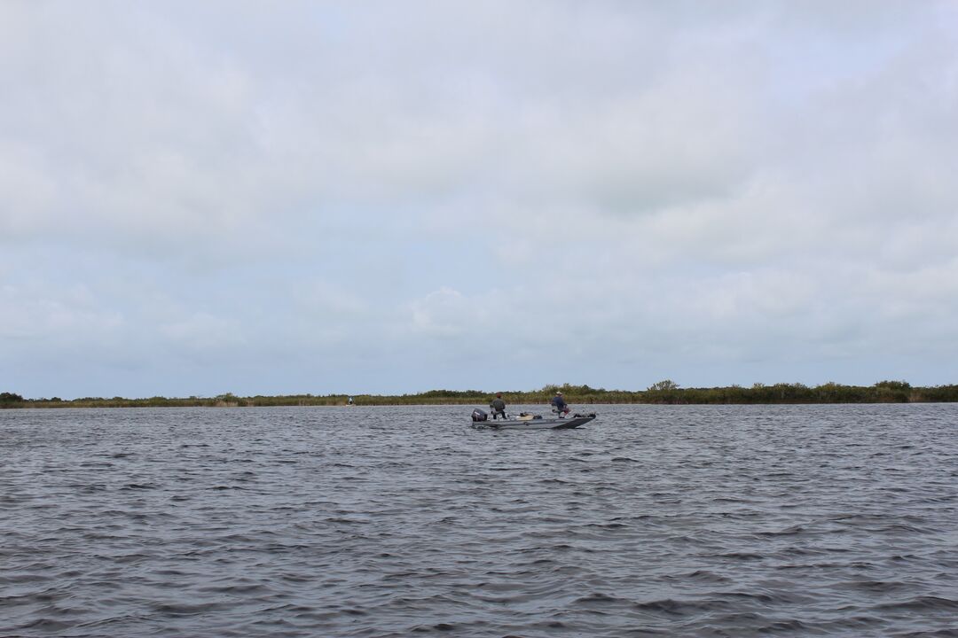 Water Adventures on the Gulf