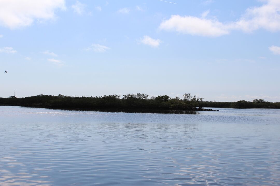 Water Adventures on the Gulf