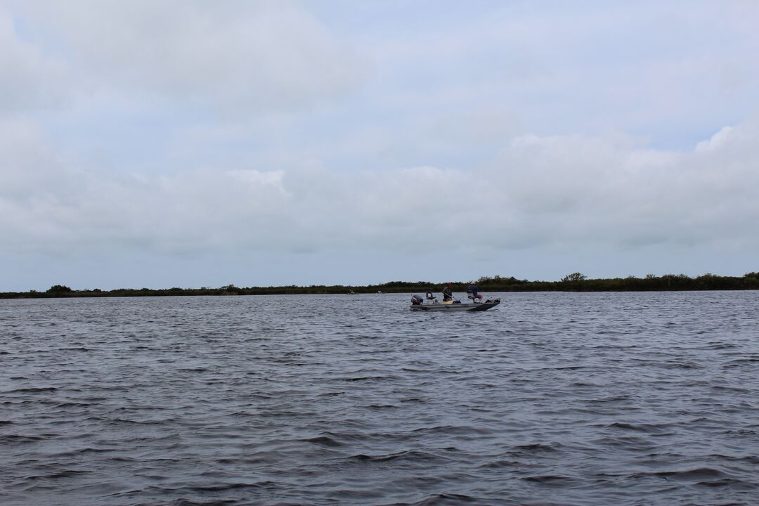 Water Adventures on the Gulf