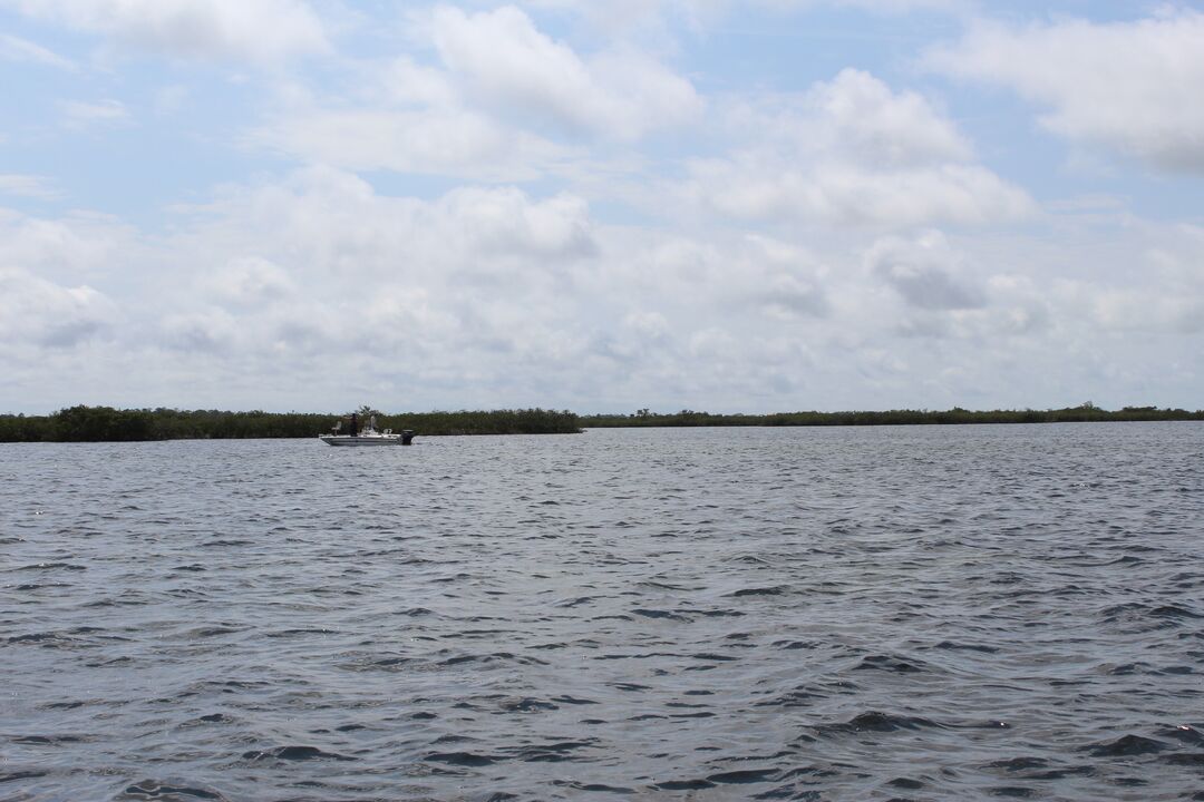 Water Adventures on the Gulf