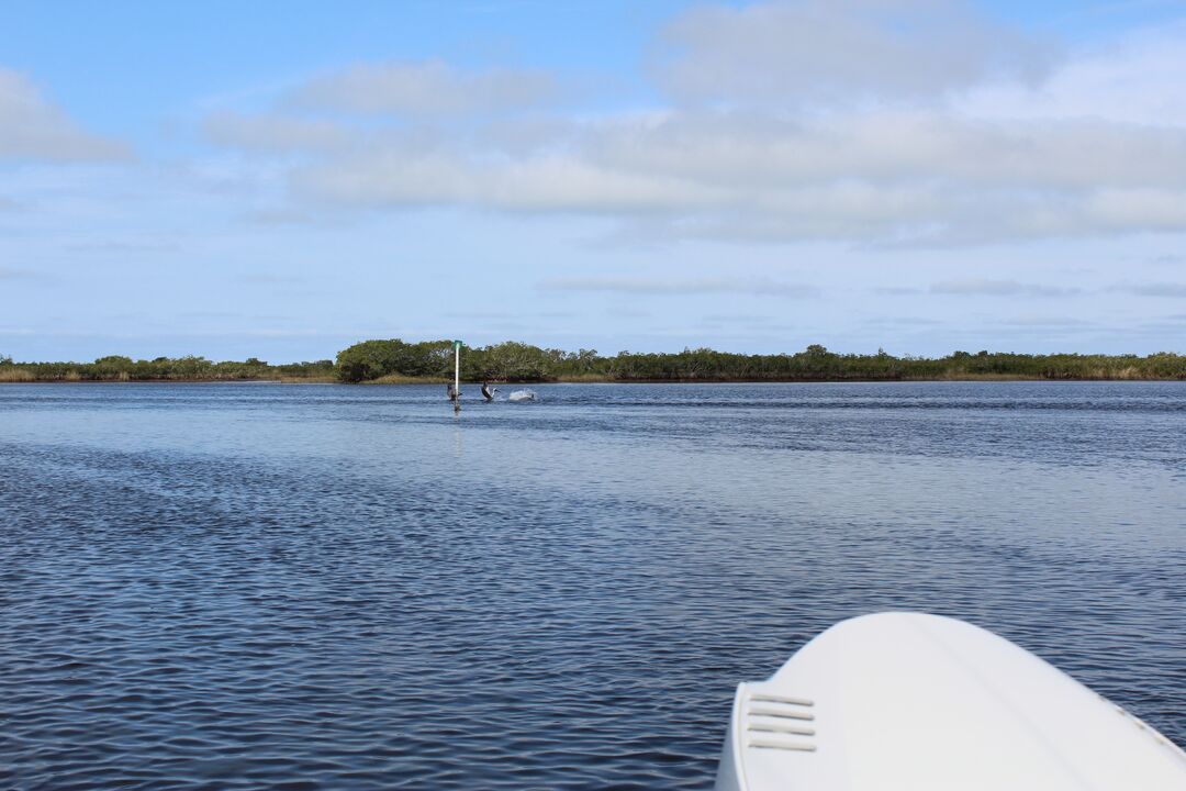 Water Adventures on the Gulf