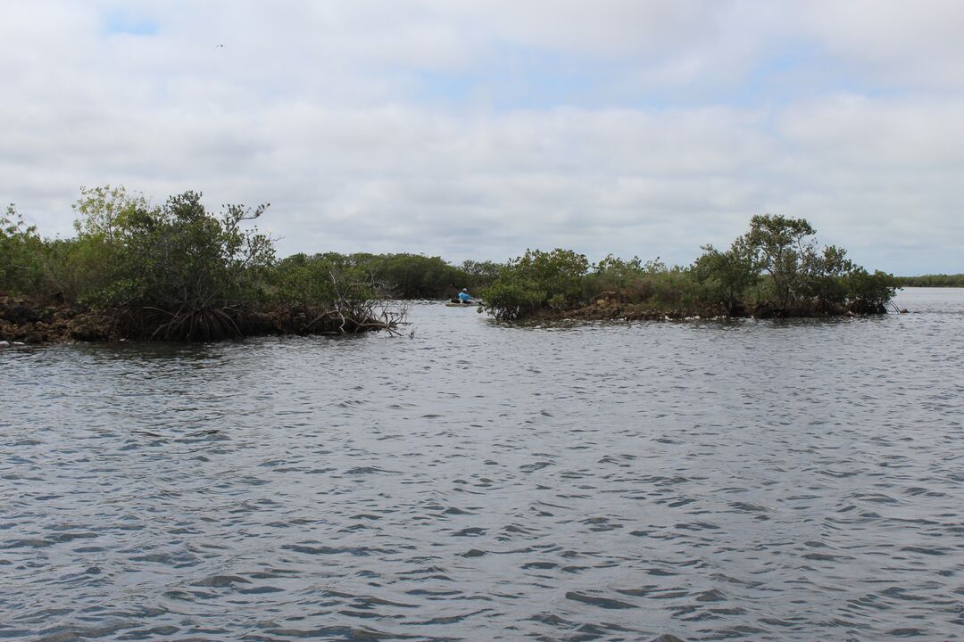 Water Adventures on the Gulf