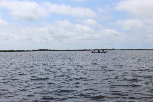 Water Adventures on the Gulf