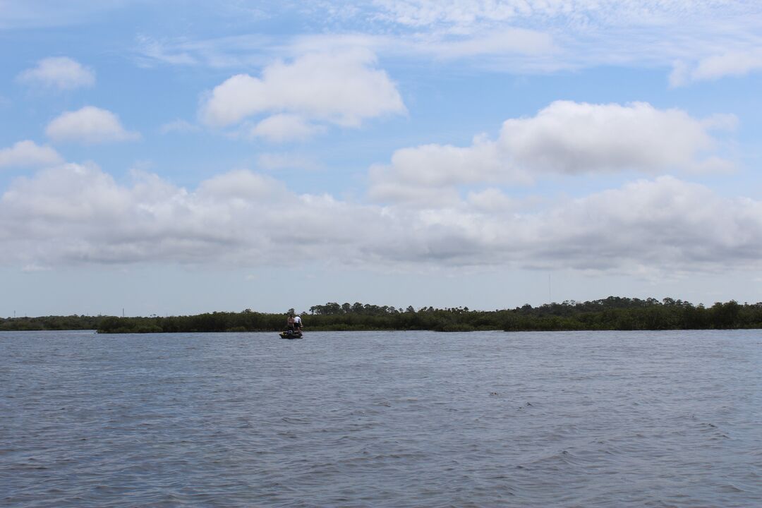 Water Adventures on the Gulf