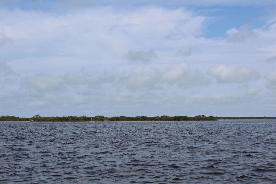 Water Adventures on the Gulf