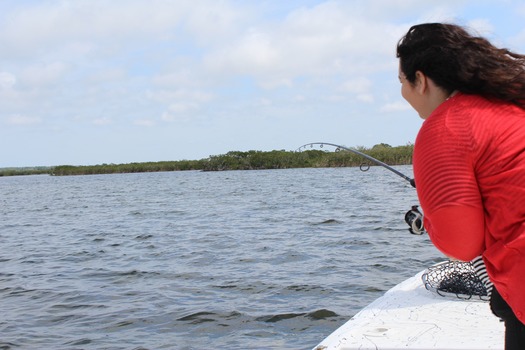 Water Adventures on the Gulf