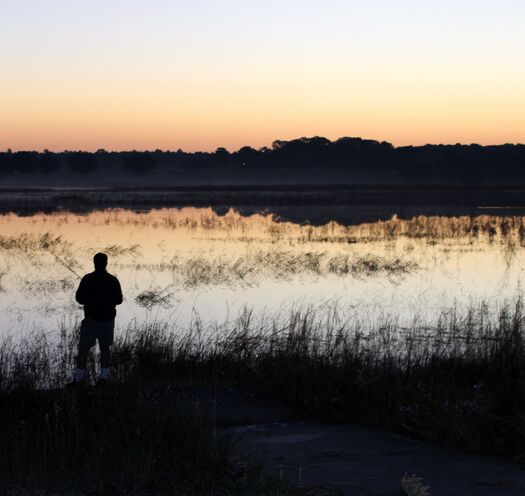 Lake Fishing, Spring Hill