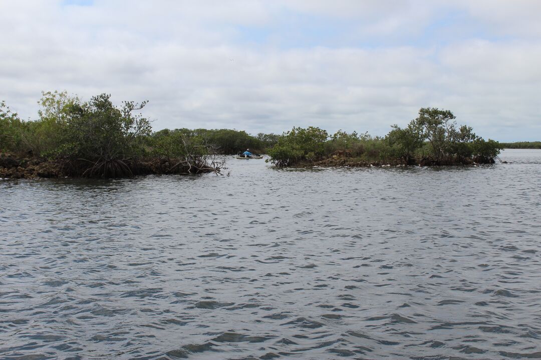 Water Adventures on the Gulf