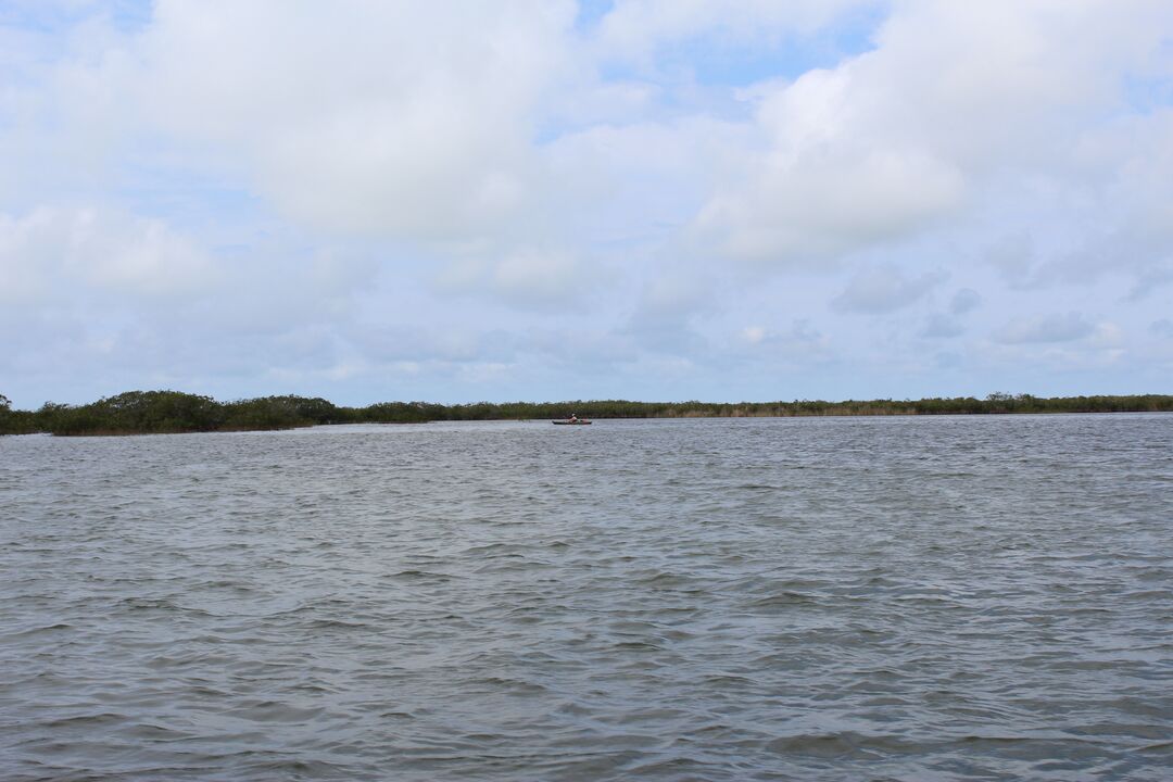 Water Adventures on the Gulf