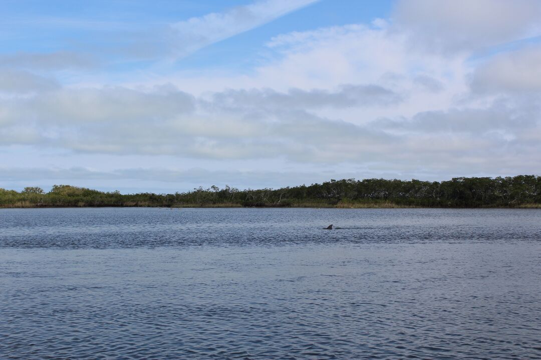 Water Adventures on the Gulf