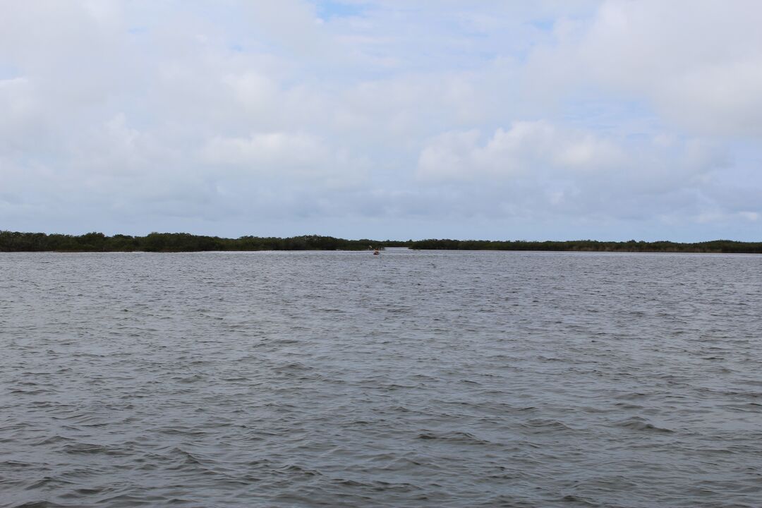 Water Adventures on the Gulf