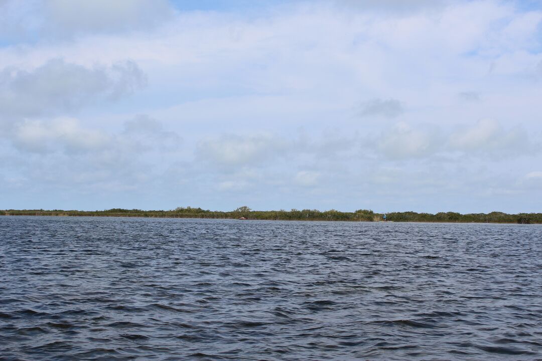 Water Adventures on the Gulf