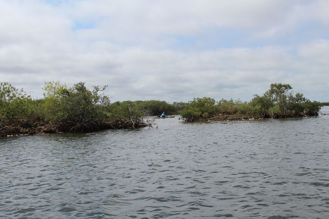 Water Adventures on the Gulf