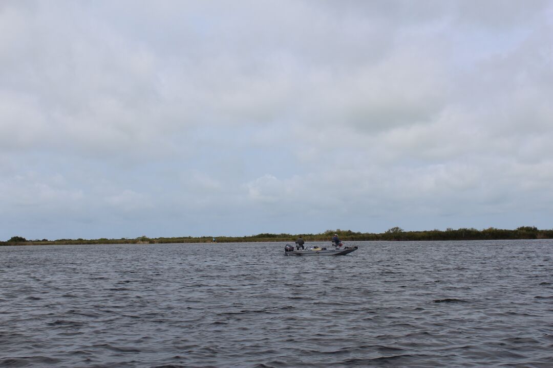 Water Adventures on the Gulf