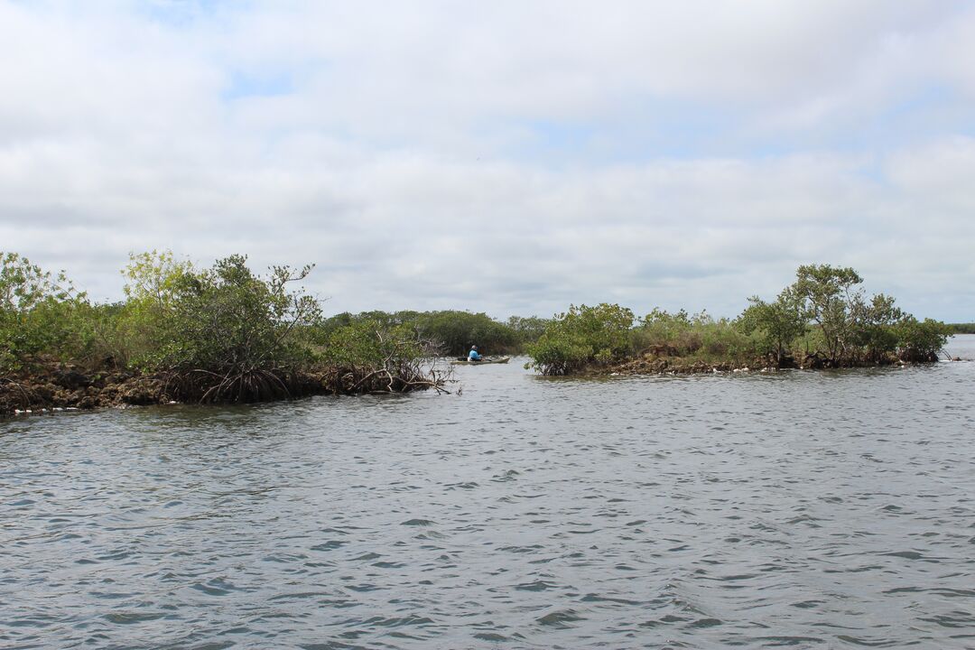 Water Adventures on the Gulf