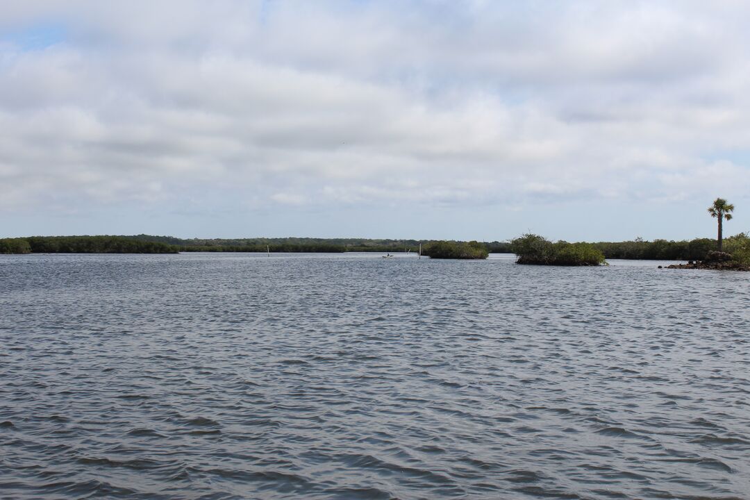 Water Adventures on the Gulf