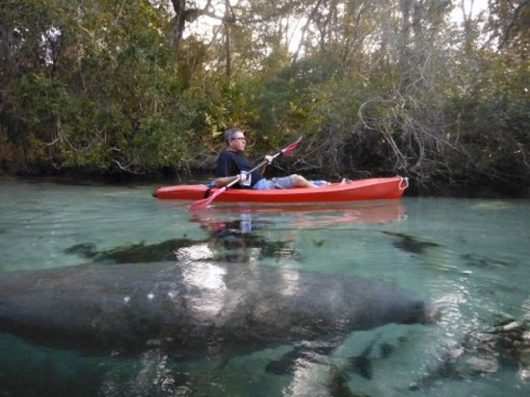 Kayaking