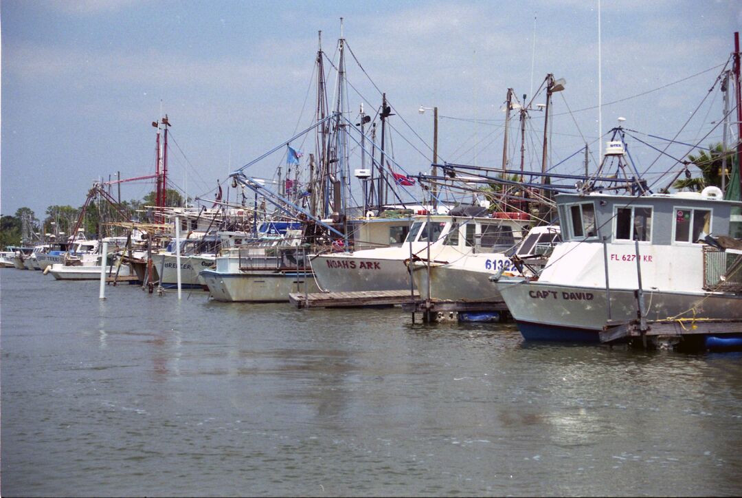 Boats at the dock, Hernando Beach