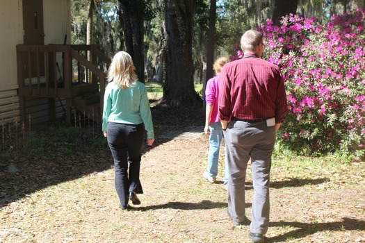 Chinsegut Azaleas