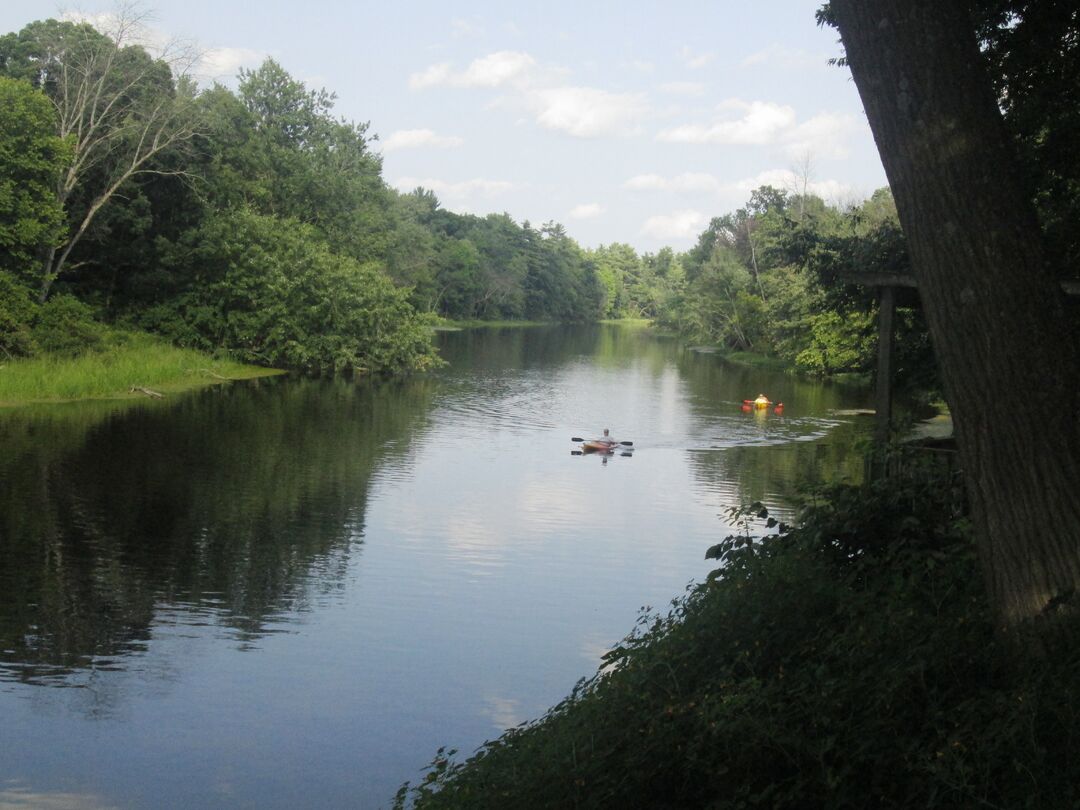 Kayaking, Weeki Wachee River