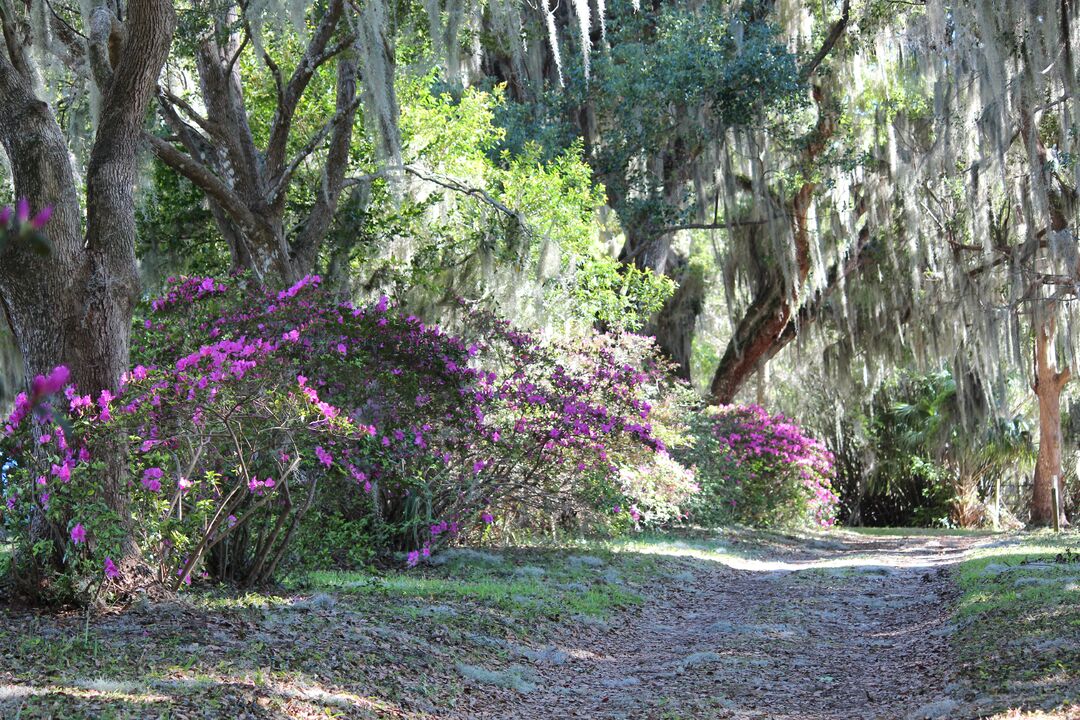 Estate grounds at Chinsegut Hill Retreat, Brooksville