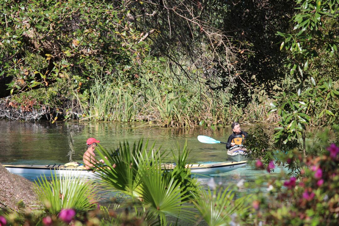 Kayaking, Weeki Wachee River