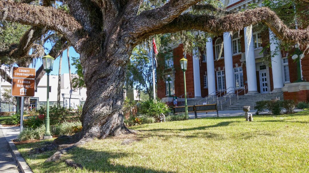 Brooksville Courthouse Oak Tree_edited_2