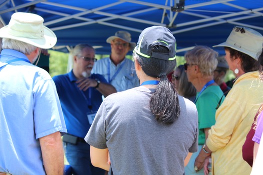 Blueberry Festival 2017