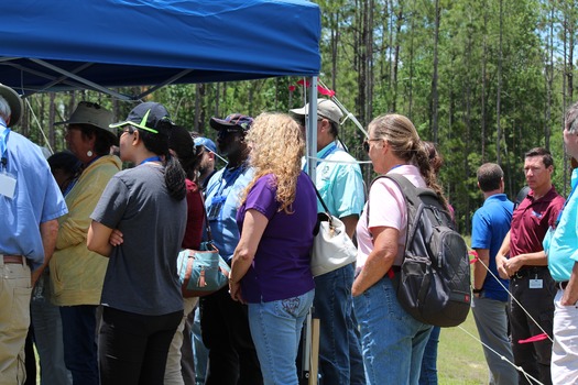 Blueberry Festival 2017