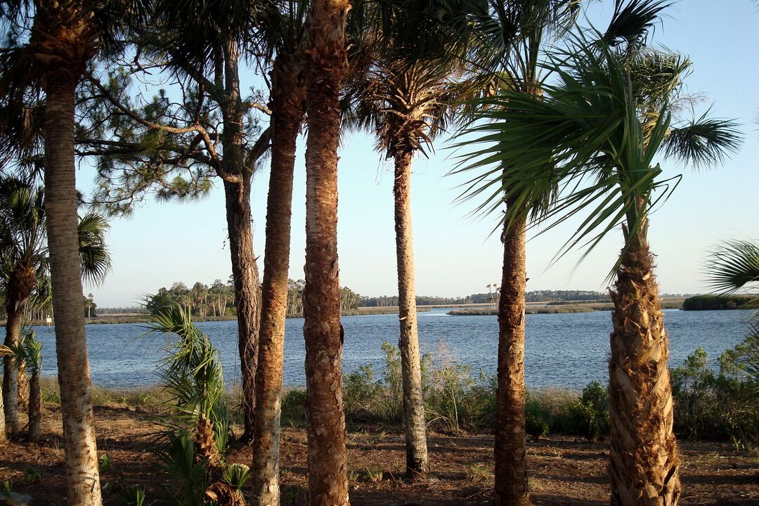 Fishing channel from new boardwalk